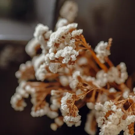 Διαμέρισμα Downtown Grand Tower View By Vacationy