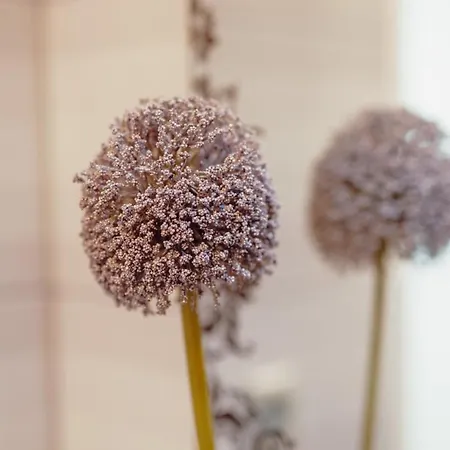 Downtown Grand Tower View By Vacationy Apartament *